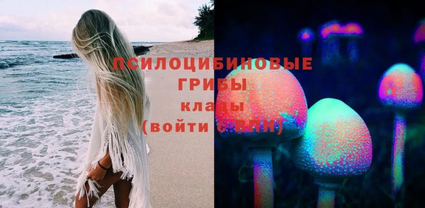 мяу мяу мука Куйбышев