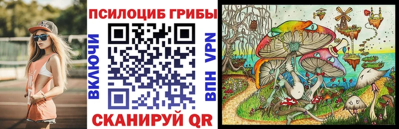 Галлюциногенные грибы ЛСД  дарнет шоп  Малмыж 